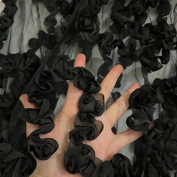 Zara Sheer Blouse - Picture 3 of 7